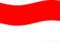 Indonesiske